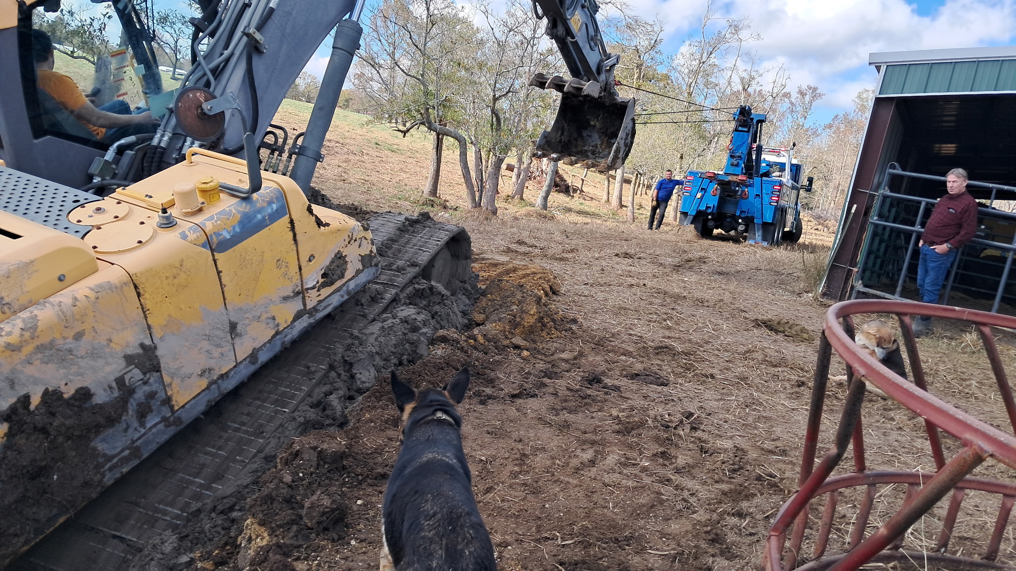 Leon Thomas Tow (17)